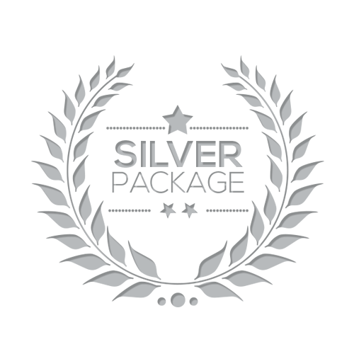 2. Silver Package